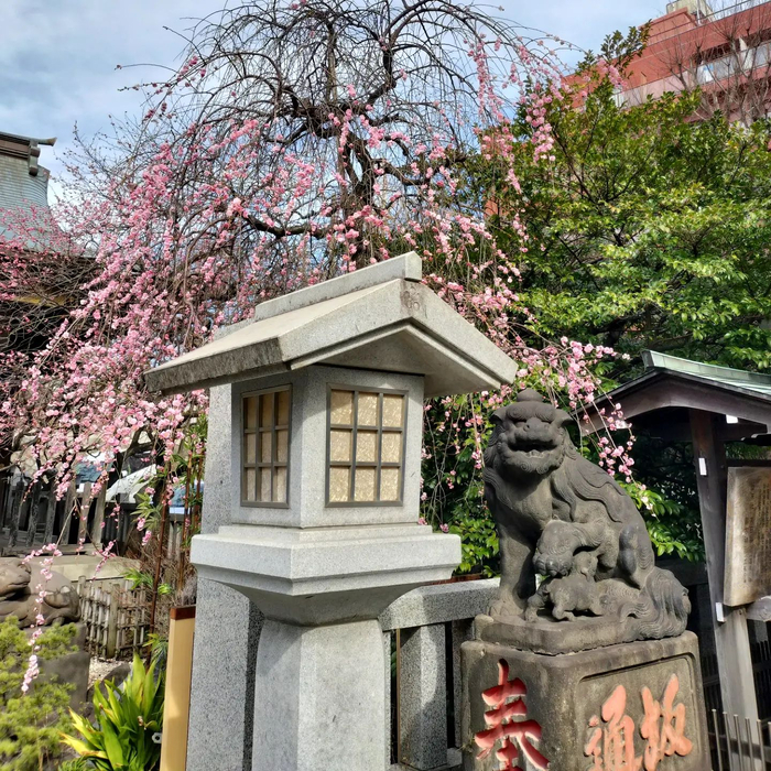 画像1240