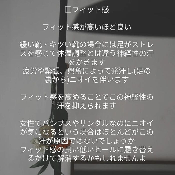 画像747